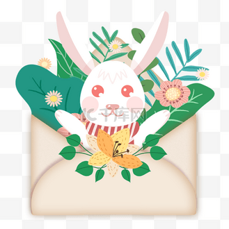 动物花卉信封白色兔子