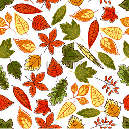 秋天无缝图片_秋叶背景与枫树、橡树、栗树、桦