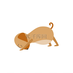 棕色的狗伸展瑜伽姿势，卡通宠物