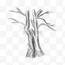 干枝干图片_素描枯树树干