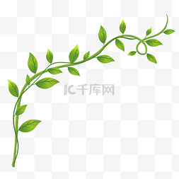 叶子自然图片_藤蔓植物