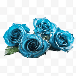 真爱图片_高清免扣花卉摄影蓝玫瑰设计素材