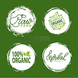 植物图标图片_新鲜素食食品标签、绿色海报天然