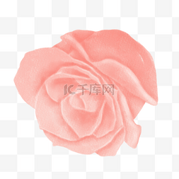玫瑰花渐变图片_粉色渐变水彩花卉植物