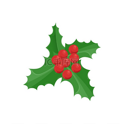 圣诞手绘装饰图片_槲寄生传统圣诞手绘装饰绿叶与大