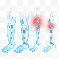 线条腿部图片_光效身体关节腿部结构