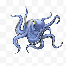 蓝色水彩八爪章鱼