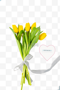 花蕾图片_黄色郁金香鲜花花束