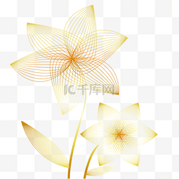 金色描线花朵花卉