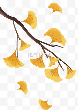 秋分节气秋天银杏叶落叶树叶树枝