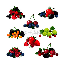 卡通蔓越莓图片_新鲜的夏季浆果。