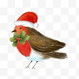 红色袜子图片图片_圣诞节红色帽子知更鸟水彩