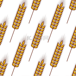 金色小麦成熟穗的无缝图案斜向排
