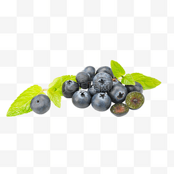 水果树莓图片_新鲜水果蓝莓