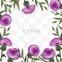 紫色典雅背景图片_蓟花卉水彩边框
