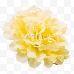古风黄色花朵簪花