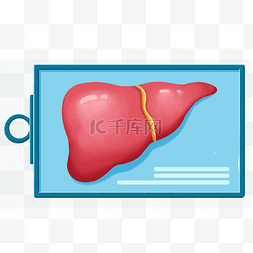 肝脏肝包膜图图片_肝脏图版
