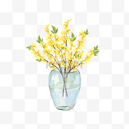 花瓶插花植物图片_水彩花卉连翘花瓶