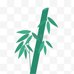 扁平植物绿植图片_夏季植物竹子叶子