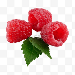 树莓摄影图食物健康