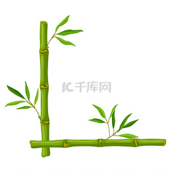 自然竹子图片_框架与绿色竹茎和叶子。