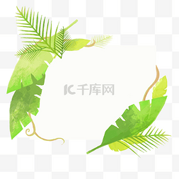 绿色清新花草图片_热带植物边框