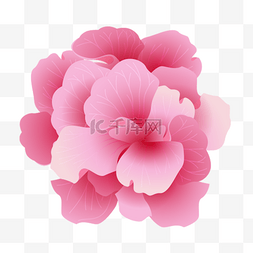 盛开的粉色玫瑰装饰画