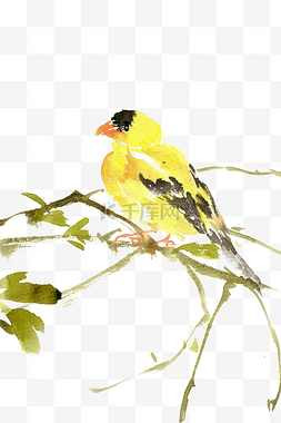 小鸟绿叶图片_水墨画黄色的小鸟