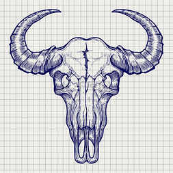 头骨图片_笔记本上的圆珠笔水牛头骨草图笔