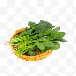 绿色蔬菜新鲜图片_绿色菠菜蔬菜食材