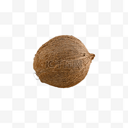 椰子椰子树食品圆形