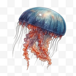 卡通水生物图片_卡通手绘水生物水母