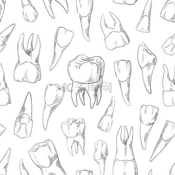 矢量牙医图片_牙齿草图图案手绘人类牙齿系列的