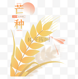 稻子描边花图片_芒种二十四节气金色稻穗