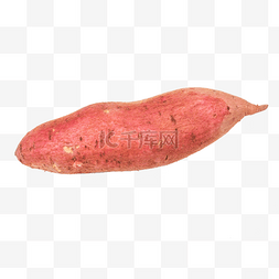 红薯番薯食材