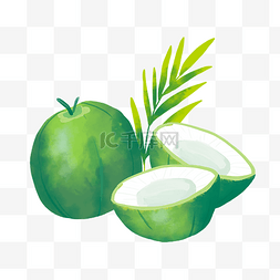夏季水果椰子
