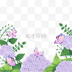 绣球花卉水彩蝴蝶紫色自然边框