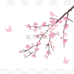 粉色樱花天空图片_樱桃