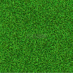 逼真的无缝绿色草坪草地毯纹理清新自然的覆盖图案花园绿草和草本草甸矢量背景足球足球场的质感逼真的无缝绿色草坪草地毯纹理清新自然的覆盖图案