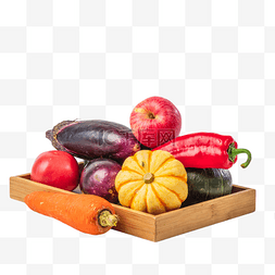 秋季蔬菜果蔬茄子南瓜