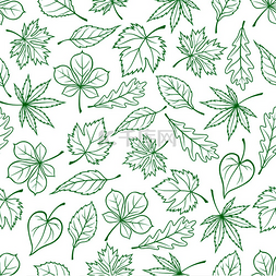 绿色枫树叶图片_无缝雕刻的绿叶图案，用于生态主