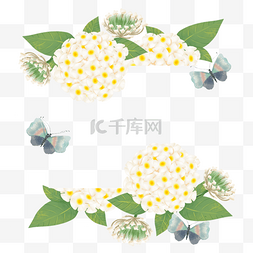 绣球花卉水彩蝴蝶淡雅边框