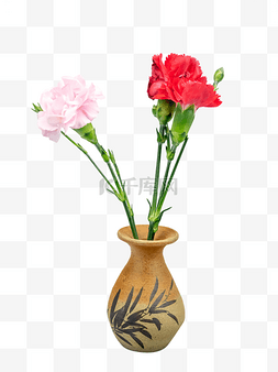 花瓶插花花枝