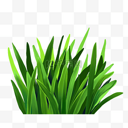 绿色打结的小草图片_绿色春天草地花草植物小草
