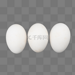 农家鹅蛋图片_白色鹅蛋