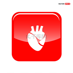 人的心脏器官图标