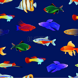 五颜六色鱼图片_无缝图案与大颜色海洋创造了卡通