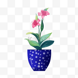 粉色花盆栽图片_蓝色花盆粉色花室内盆栽植物