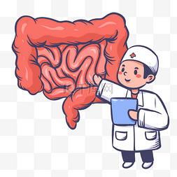 肠胃图片_肠道肠胃健康医疗