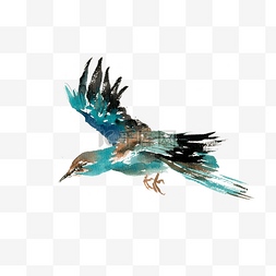 飞翔的蓝色翅膀图片_飞翔的蓝鸟